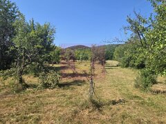 Teren intravilan de vanzare 3375 mp in Brebu